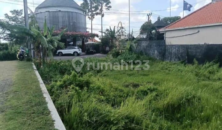 Cheap land in Umalas Kerobokan, 1700m2