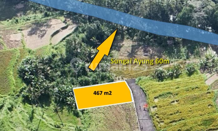 Tanah di semana Ubud 467 & 180m² ITR Pariwisata
