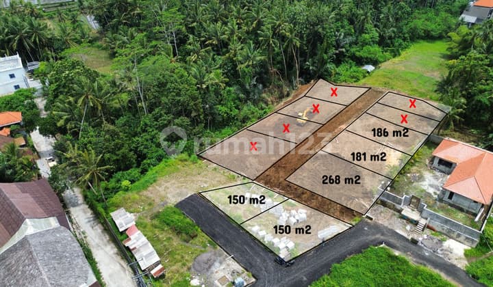 Tanah di Singakertha - Ubud - Lingkungan Villa Itr Kuning