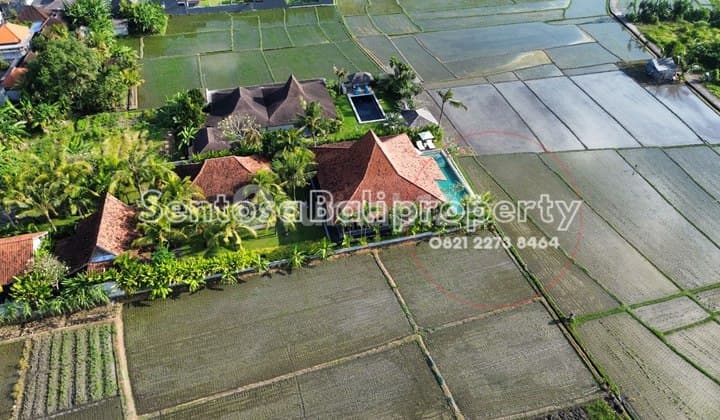 Luxury Villa View Sawah di Panyai Nyanyi Badung Bali