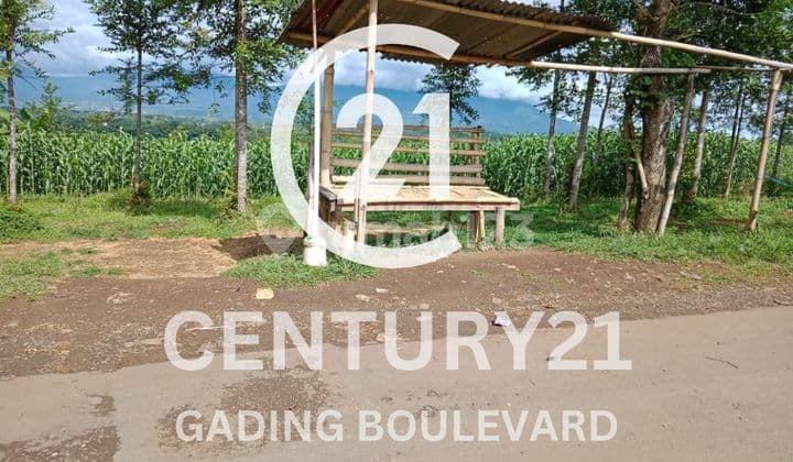 Tanah Kebun Luas 60.000m2 Di Sukabumi Jawa Barat