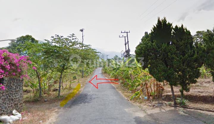 Dijual Murah Tanah Nol Jalan Raya Ledug Pasuruan Dekat Hotel