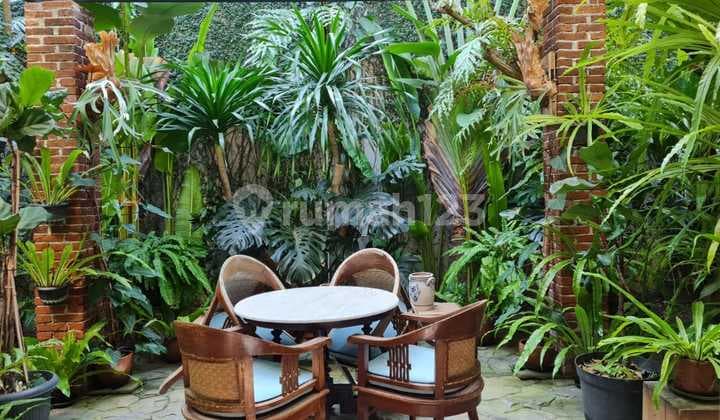 For Sale Royal Park Furnish Citraland House Area 113m 2 Bedrooms