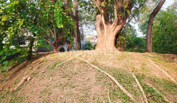 Kavling Langka Taman Tirta Golf BSD Murah