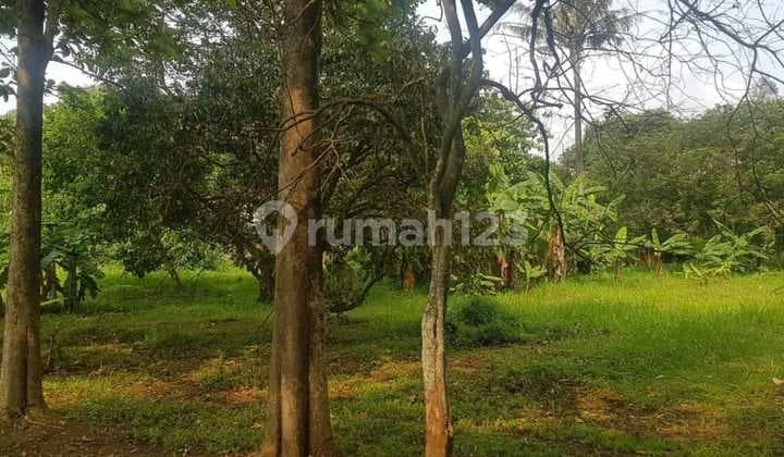 West Balaraja Land for industrial warehouse housing