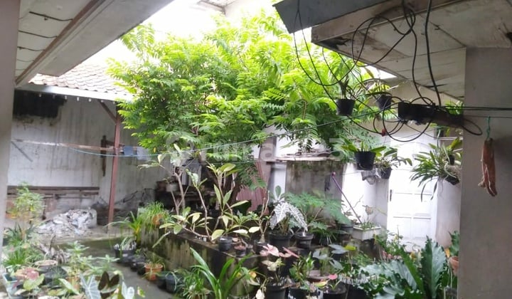 For Sale: Freehold House, Land Area 725 sqm in Cirebon