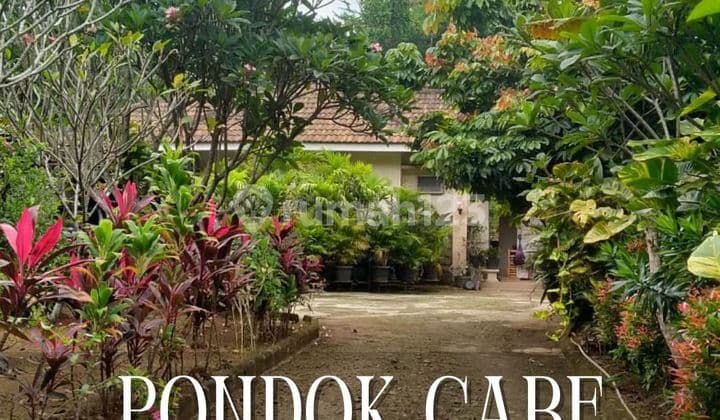 Kavling/Tanah Bentuk Ngantong, Bonus Bangunan Rumah di Pondok Cabe Tangerang Selatan