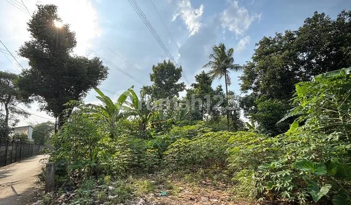 Dijual Tanah Bagus Bsd Dijual Tanah Bagus Bsd