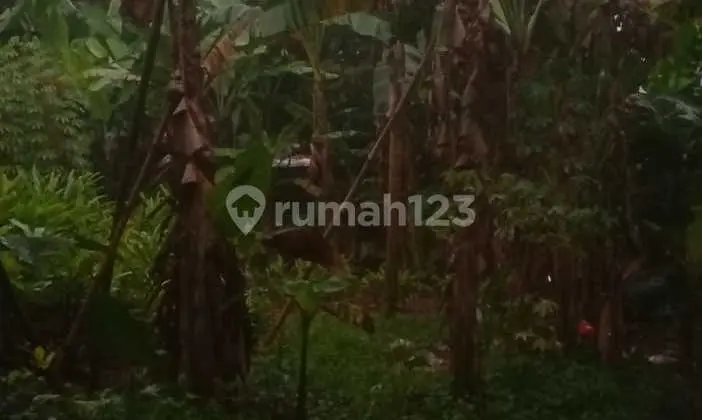 Dijual Tanah di Cileungsi Bogor
