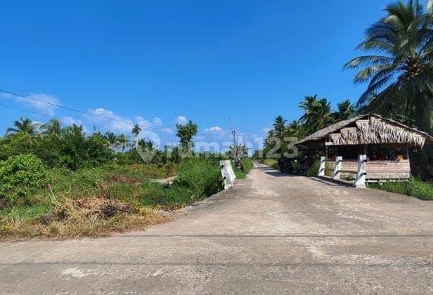 Di Jual Cepat Tanah Padat Sudah Shm Di Kalimantan Barat