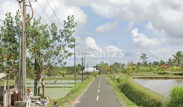Tanah Area Payangan Ubud Gianyar Dekat Anantara Resort