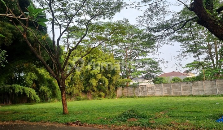 Kavling Alam Sutera Cluster Lavender Hadap Utara Bisa Kpt Cicil 36x