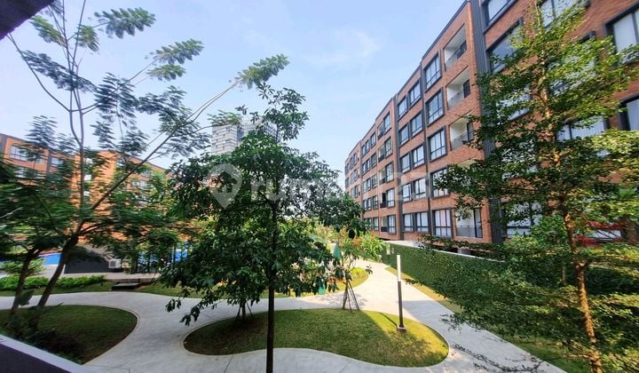 View Olympic Swimming Pool Lloyd Alam Sutera 3 Bedroom Furnished Lantai 1