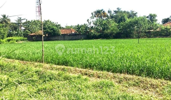 Jual Kavling Cocok untuk Hotel, Perumahan di Cikampek