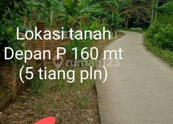 Kanling Cocok Buat Perumahn Di Tenjo Tigaraksa Tangerang