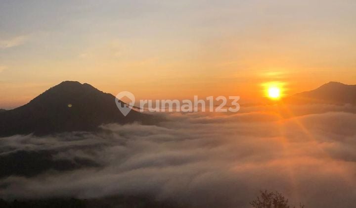 Tanah di Penelokan kintamani 1000 m² SHM