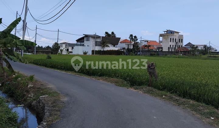 Tanah Kavling Villa Cemagi 300 m² SHM