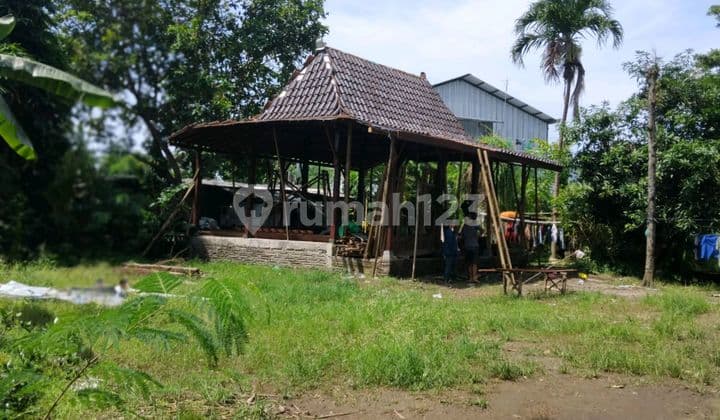 Tanah Sewa Pererenan Canggu SHM 250 M² View Sungai