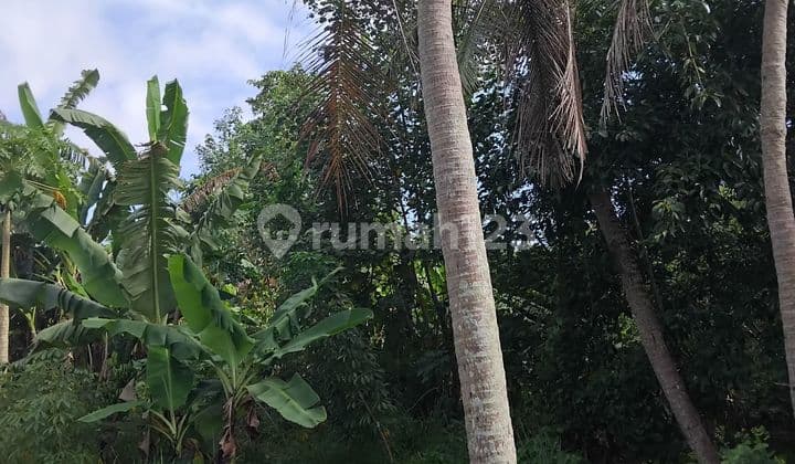 10 Are Riverside Leasehold Land in Kaba-Kaba Tabanan, Tranquil and Scenic