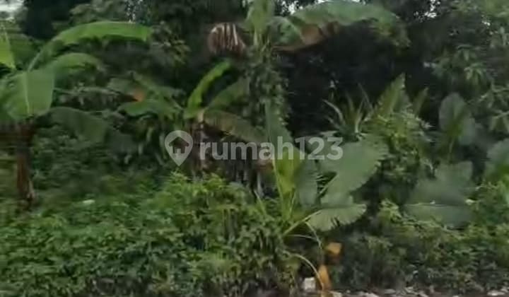 Tanah Cisauk Dekat BSD Cocok untuk Gudang Pabrik Warehouse