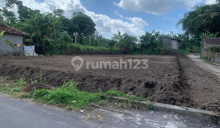 Tanah Murah Jogja Dijual Cepat SHM P Siap AJB