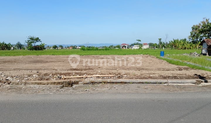 Tanah Murah Sleman Dekat Sekolah Budi Mulia Tajem Maguwo