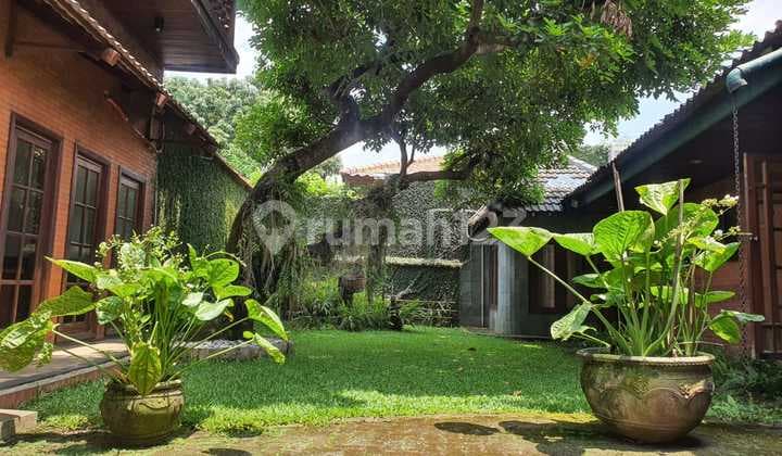 Rumah Asri Dijual di Cipete - Dekat MRT Cipete