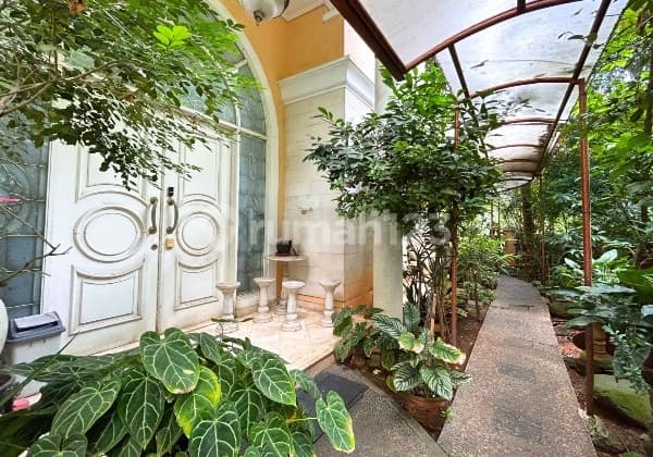 Langka! Rumah Elit di Kawasan Diplomatik Mega Kuningan, Harga di Bawah NJOP!