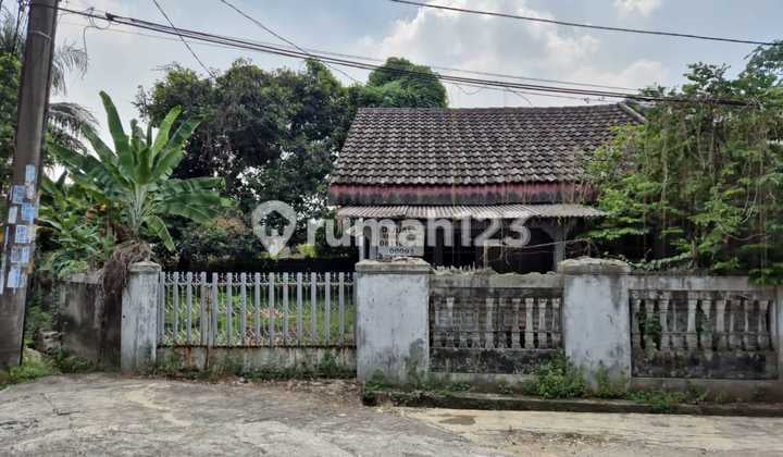 Rumah Dng Tanah Luas & Bebas Banjir