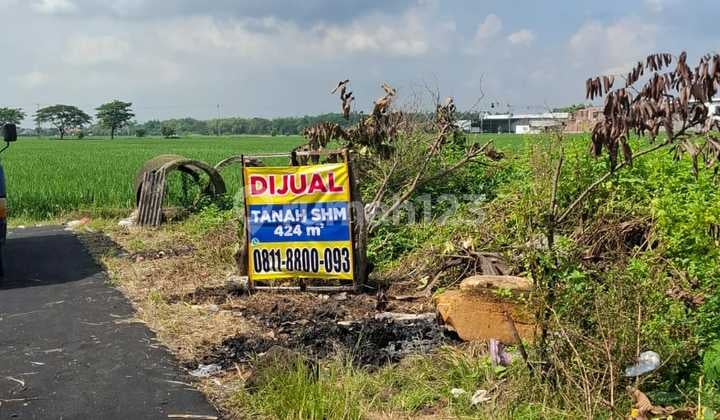 Strategis U Kos/hunian Posisi Hook Dan Udara Lapang/sawahnyamananah Murah & Jual Murah 2.1jt An Dr Harga 3.5jt Krn Bu Seroja Solo Bjgaru. Depan Aspal