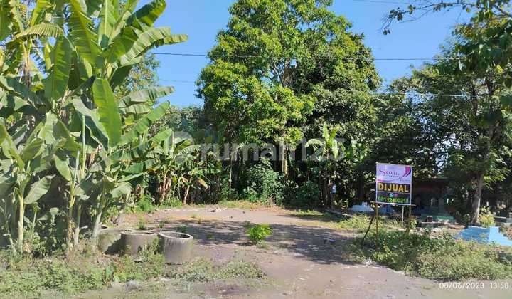 Tanah Murah di Kapetakan Kidul Tanah Murah di Kapetakan Kidul