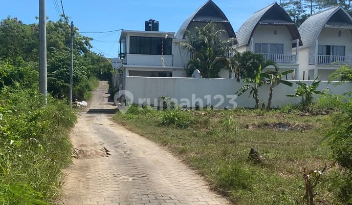 Land For Rent Jln Batu Nunggul Uluwatu 23 Million/are/years