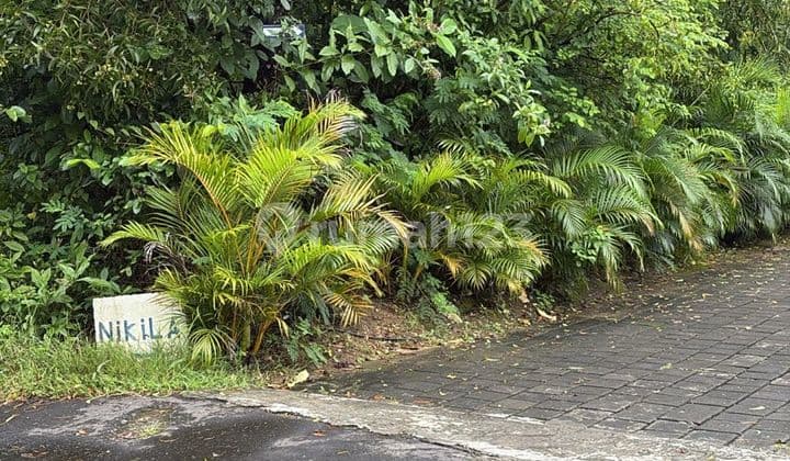 Tanah Murah 600 M2 Labuan Sait Padang2 Idr 8Jt/M2