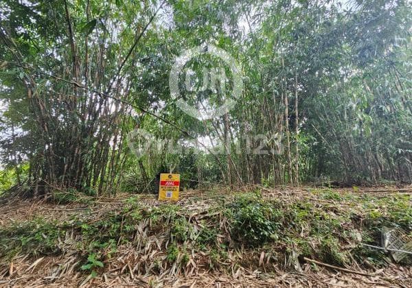 Kavling Dijual di Kampung Warudoyong, Bekasi, Jawa Barat