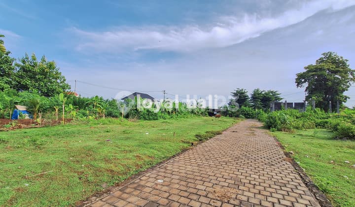 Tanah, Plot Ready To Build In Beautiful Environment In Kutuh, Bali