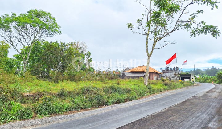 Tanah, 3.700M² Land With Strategic Location In Kintamani, Bali