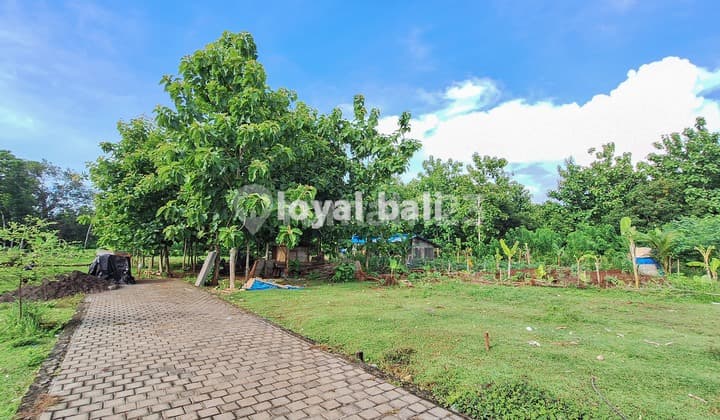 Land, Ready-to-Build Plot in a Beautiful Environment in Kutuh, Bali