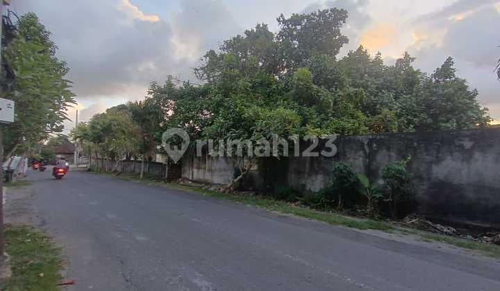 Tanah Komersial Strategis Di Raya Kayu Tulang Canggu