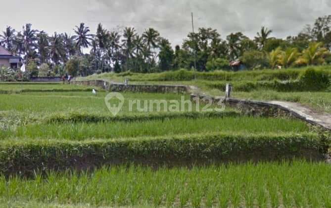 Tanah Langka Full View Sawah & Sunset di Ubud Center