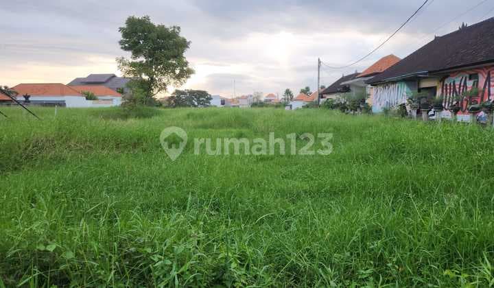 Tanah Komersial Disewakan Di Padang Linjong Canggu
