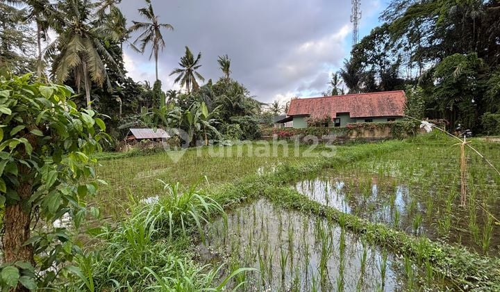 Beautiful Rice Field View Land In Singakerta Ubud Bali