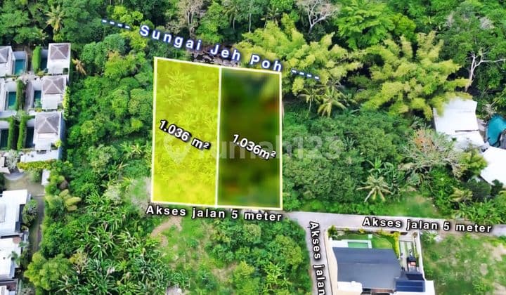 Tanah Los Sungai Jalan Pantai Nyanyi Boleh Beli 1.036 M²