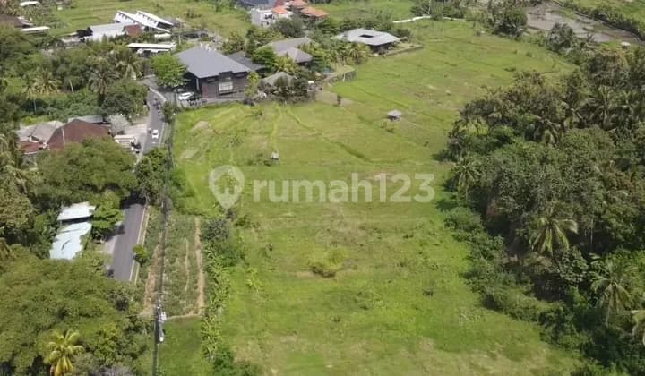 Disewakan 25 tahun, Tanah di ubud full view jungle