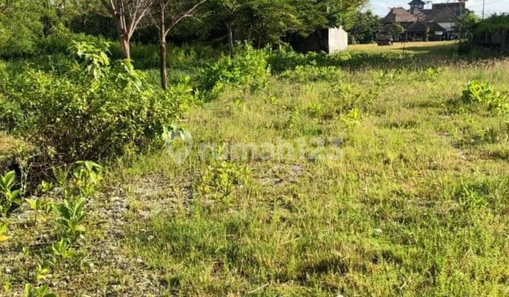 Tanah di jalan utama cendrawasih Seminyak, 600 meter ke pantai