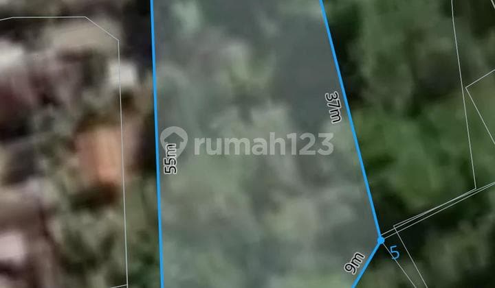 Tanah Murah Di Sentral Ubud Dekat Restoran Dan Fasilitas Umum