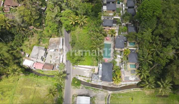 For Sale Flat Land In Ubud 1500m2 6 Meter Access