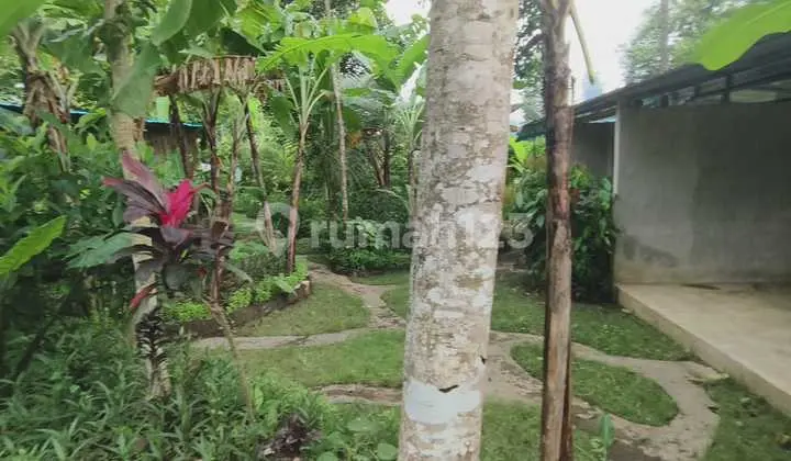 Tanah Full View Jungle Di Bedulu Ubud, Cocok Untuk Villa