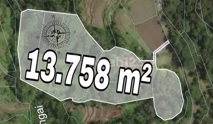 Tanah 1,3 Hektar View Sawah Dan Jungle Dekat Rice Terrace Ubud