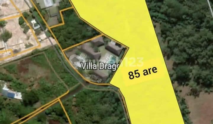 Tanah 8500m2 Akses Jalan Aspal Dekat Resort Uluwatu