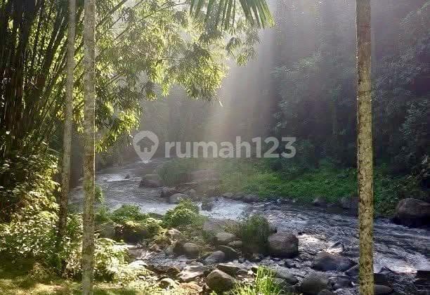 Tanah Murah 1,7 Ha View Sungai Ayung Di Ubud Bali